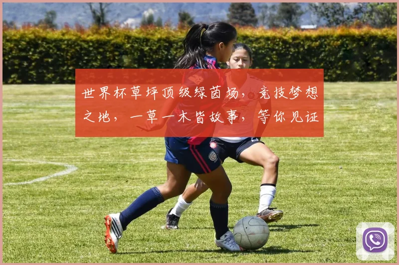 世界杯草坪顶级绿茵场，竞技梦想之地，一草一木皆故事，等你见证传奇