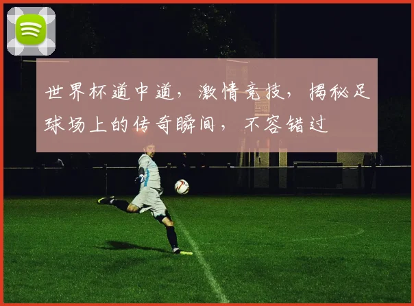 世界杯道中道，激情竞技，揭秘足球场上的传奇瞬间，不容错过