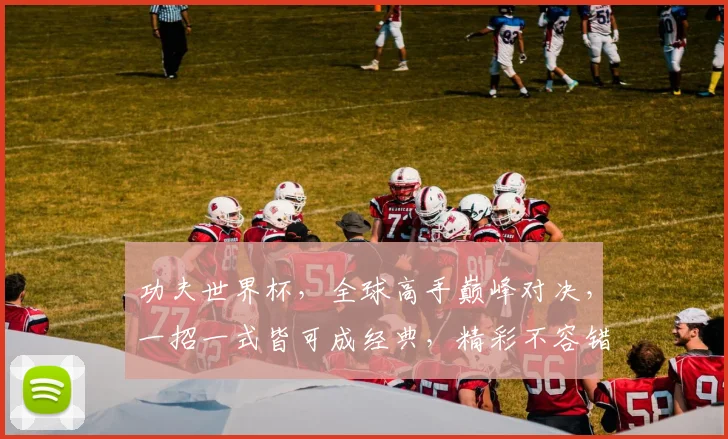 功夫世界杯，全球高手巅峰对决，一招一式皆可成经典，精彩不容错过