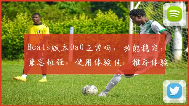 Beats版本0a0正常吗，功能稳定，兼容性强，使用体验佳，推荐体验