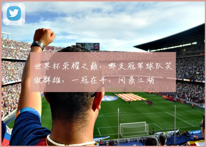 世界杯荣耀之巅，哪支冠军球队笑傲群雄，一冠在手，问鼎江湖