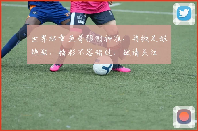 世界杯章鱼哥预测神准，再掀足球热潮，精彩不容错过，敬请关注